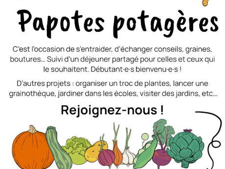 Papote potagère