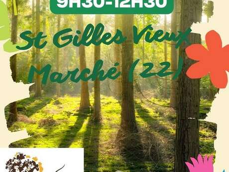 Sortie Sylvothérapie Bains de nature