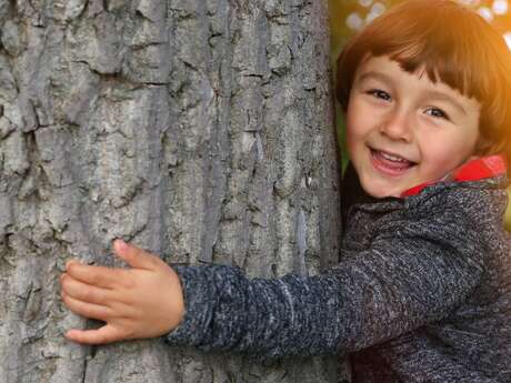 Atelier nature : les arbres au cœur de la nature