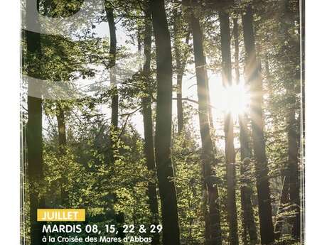 Balade découverte en forêt de Loudéac
