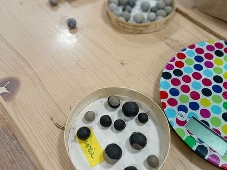 Atelier Billes en terre