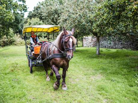 Foire aux chevaux à Kérien Foire aux chevaux à Kérien