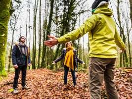 Sortie Sylvothérapie Bains de forêt