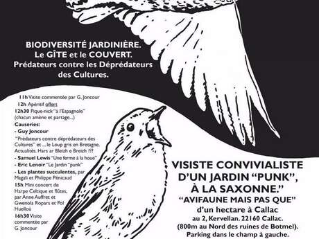 Visite convivialiste d'un jardin "punk" à la saxonne