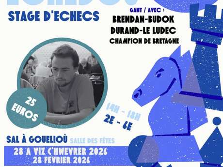 Stage d'échecs