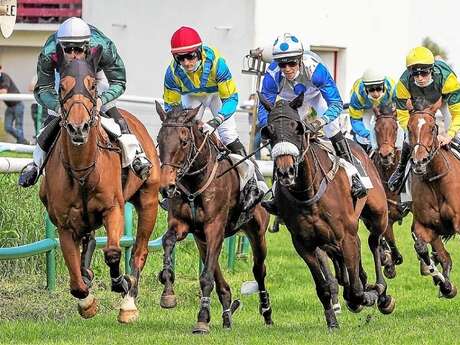 Courses hippiques
