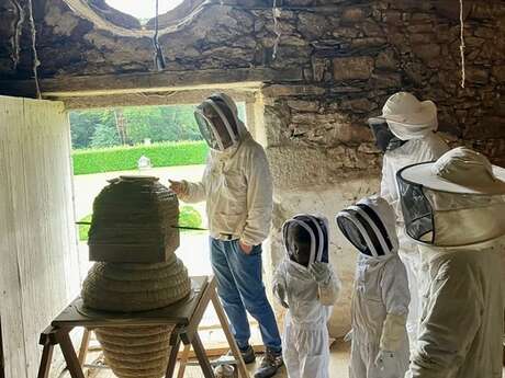 Week-end découverte Apiculture naturelle - Comment gérer un petit rucher
