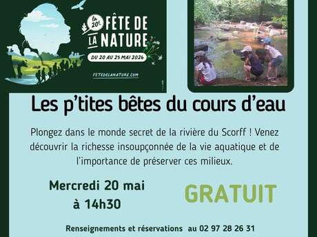 Fête de la nature : animations entre rivière et forêt