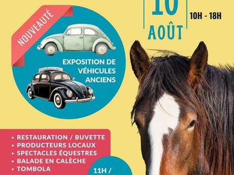 Fête du cheval