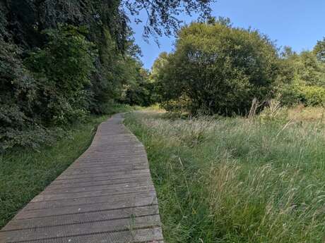 Les grandes échappées : balade nature le miel et l'Evel