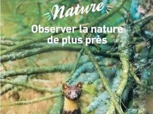 Grandeur nature : La vie cachée sous nos pieds