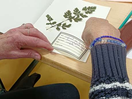 Atelier Herbier