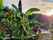 Visite du jardin zen du Quistillic
