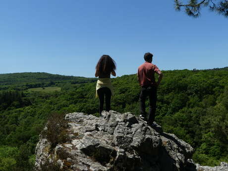 Rando contée en forêt de Coat-an-Noz