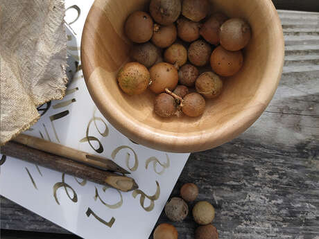 Les recettes du copiste – atelier encre médiévale