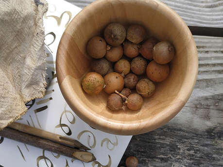 Les Z'ateliers famille : Les recettes du copiste