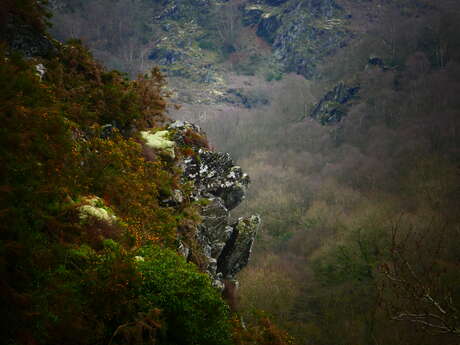 Les Gorges du Daoulas