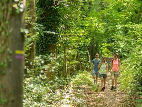 La Rando Bretagne 2026