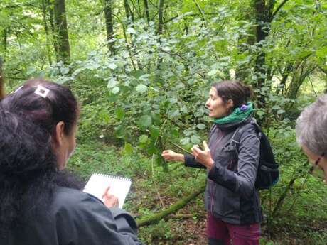 Balade nature  Biodivertissons-nous !