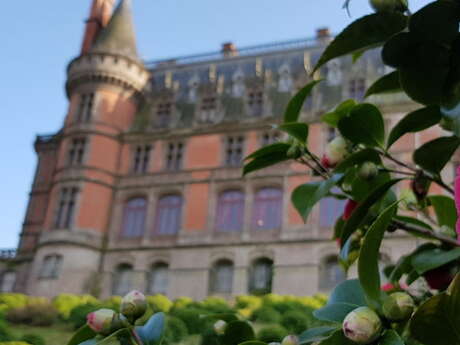 Saison botanique