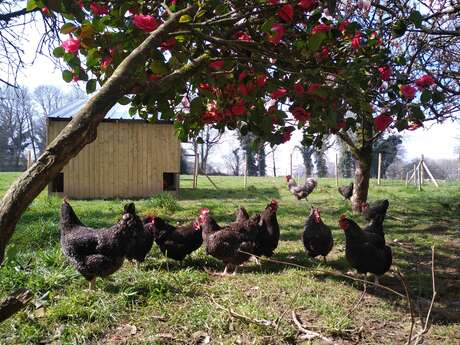 La ferme Mamm Douar