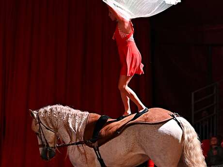 Festival du jeu au Pays du roi Morvan : Spectacle équestre « Cirque de Deux Mains »