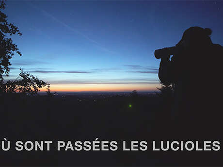 Observation des chauves-souris et ciné plein air