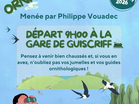 Balade ornithologique