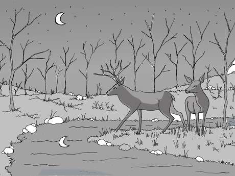 Atelier Dessin et Infographie