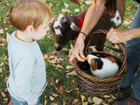 Atelier Fermier en Herbe (3-6 ans)