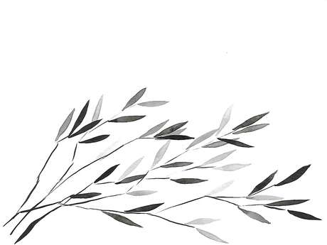 Atelier Sumi.e, aquarelle méthode japonaise