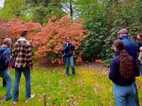Sur les traces des chasseurs de plantes