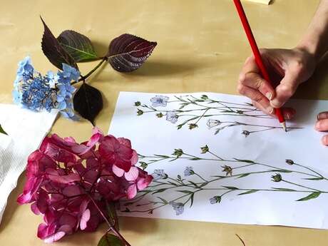 Atelier d'initiation au dessin botanique