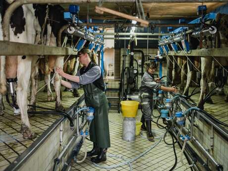 Atelier Traite des Vaches