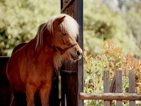 Inauguration Ferme Equestre