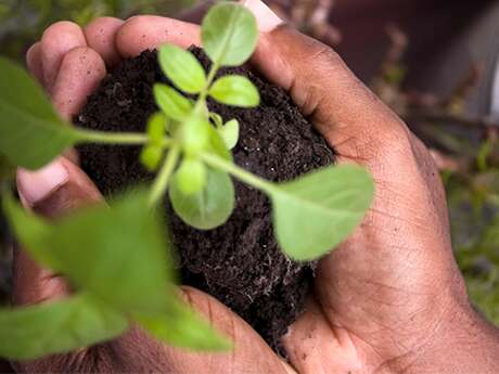 Le Blavet au naturel : Grainofête