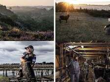 Exposition : Les sentinelles du Morbihan
