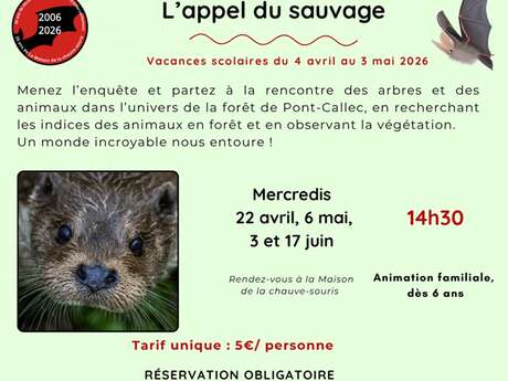 Sortie nature « L'appel du sauvage »
