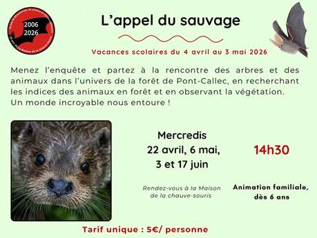 Sortie nature « L'appel du sauvage »