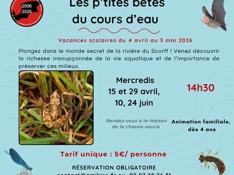 Sortie nature « Les p'tites bêtes du cours d'eau »
