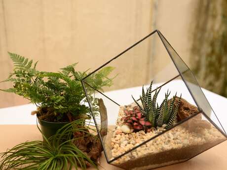 Le Blavet au naturel : Fabrication de terrariums