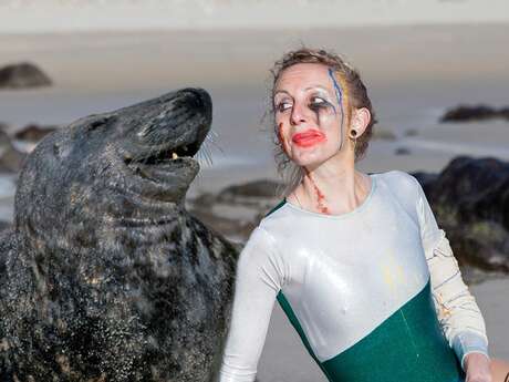 Sortie de résidence : Big Seal