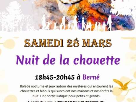 Nuit de la chouette