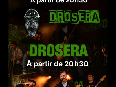 Concert Drosera