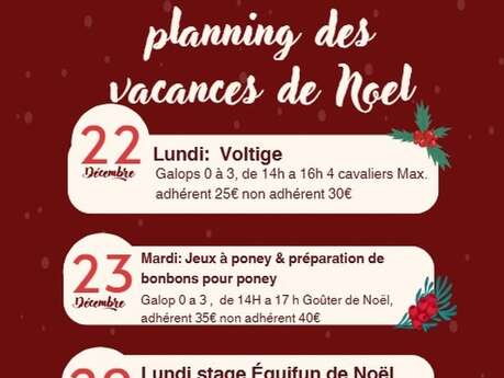 Vacances de Noël à l’Écurie TEM