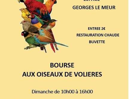Bourse aux oiseaux de volières