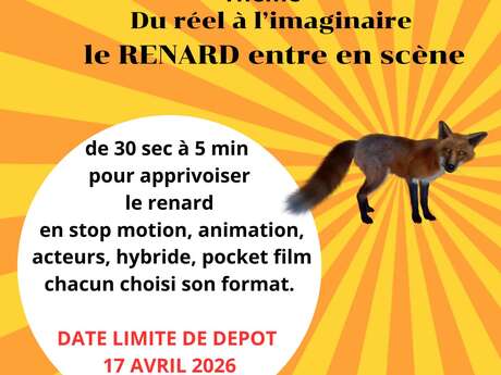 Concours du film court à Spézet