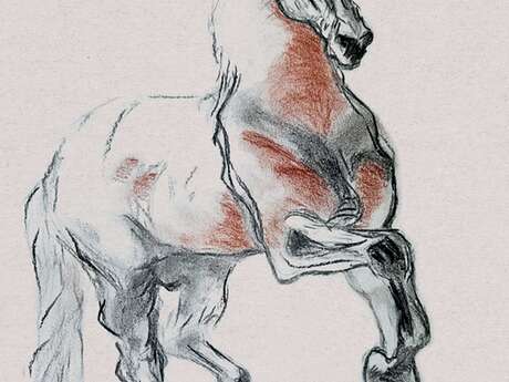 Stage"dessine-moi un cheval"