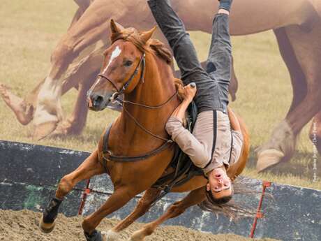Stage de voltige Cosaque et jockey
