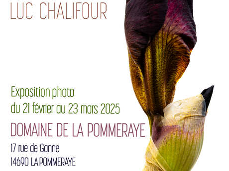 Exposition "FLEURS" Luc Chalifour